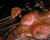Scat Slut-Orgasma Celeste extreme scat play and vacuum shit udders 10