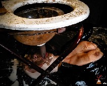 Scat Slut-Orgasma Celeste extreme shit and puke swallowing toilet slave 06